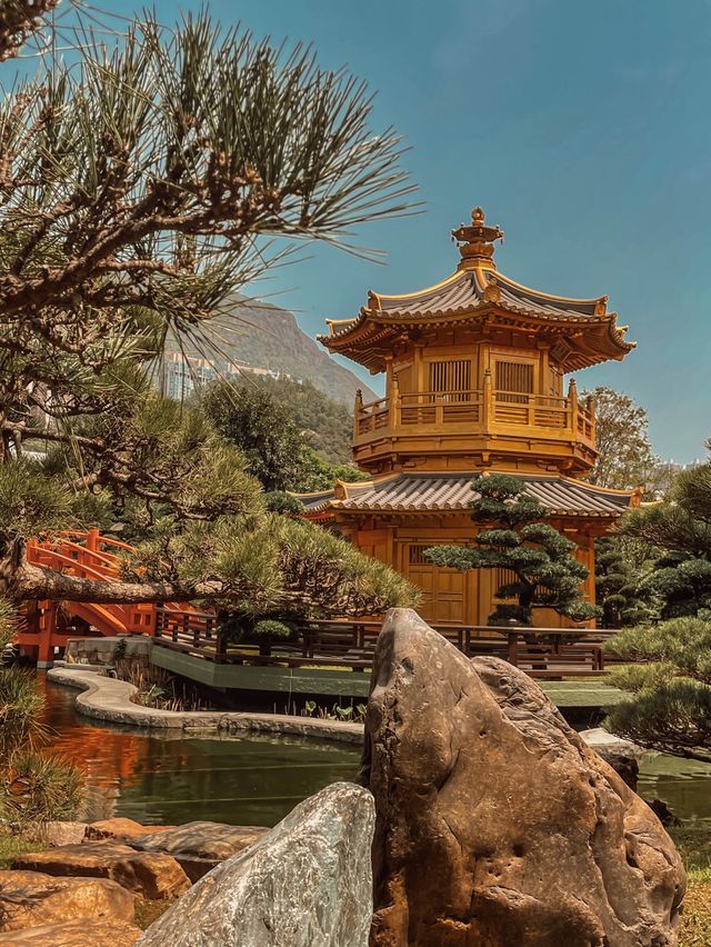 香港市區走向偽日本京都之旅🇯🇵