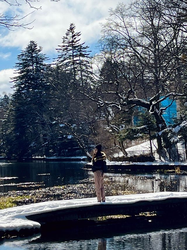 東京近郊🍀冬日輕井澤絕美打卡靚景—雲場池