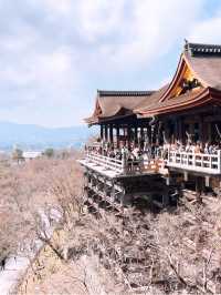 かわいい京都巡り