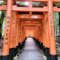 京都必遊景點，難以走到盡頭既朱紅色鳥居
