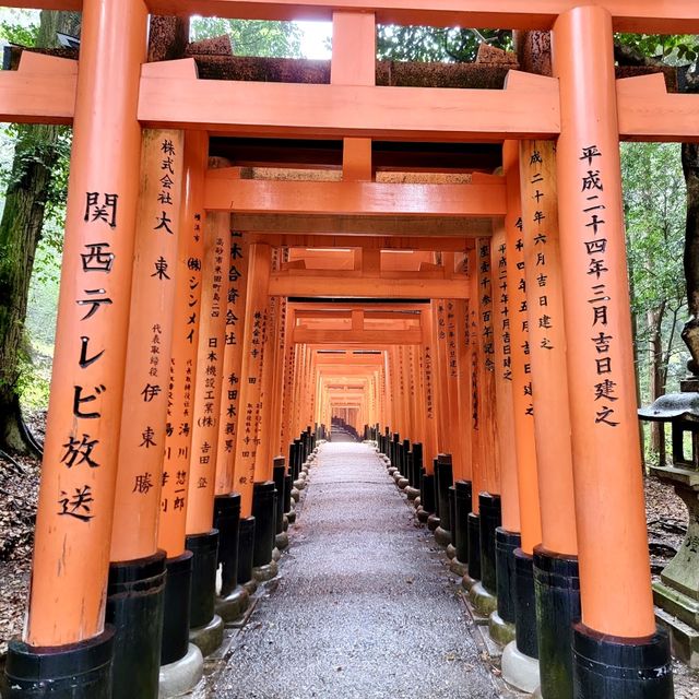 京都必遊景點，難以走到盡頭既朱紅色鳥居