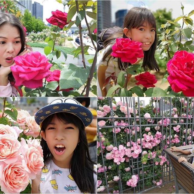 Nakanoshima Rose Garden