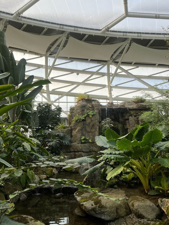 부천 실내 데이트로 강추하는 상동호수공원 수피아 식물원 🌿