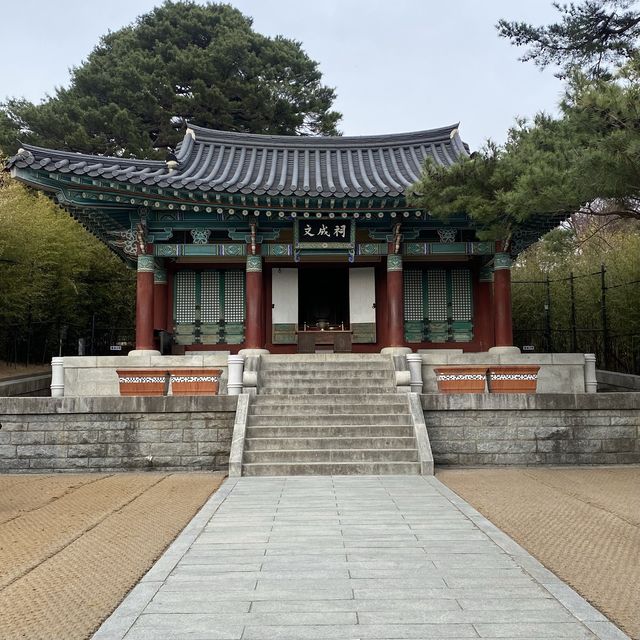 강릉까지 왔다면~ “오죽헌” 까만 대나무 보고가셔용 🎋🖤