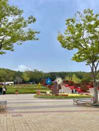 울산대공원 튤립 꽃놀이 🌷