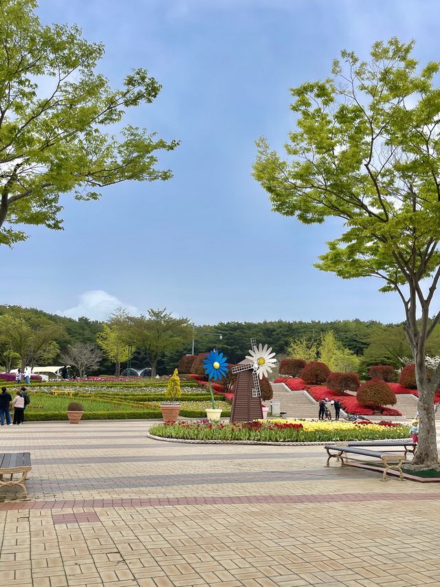 울산대공원 튤립 꽃놀이 🌷