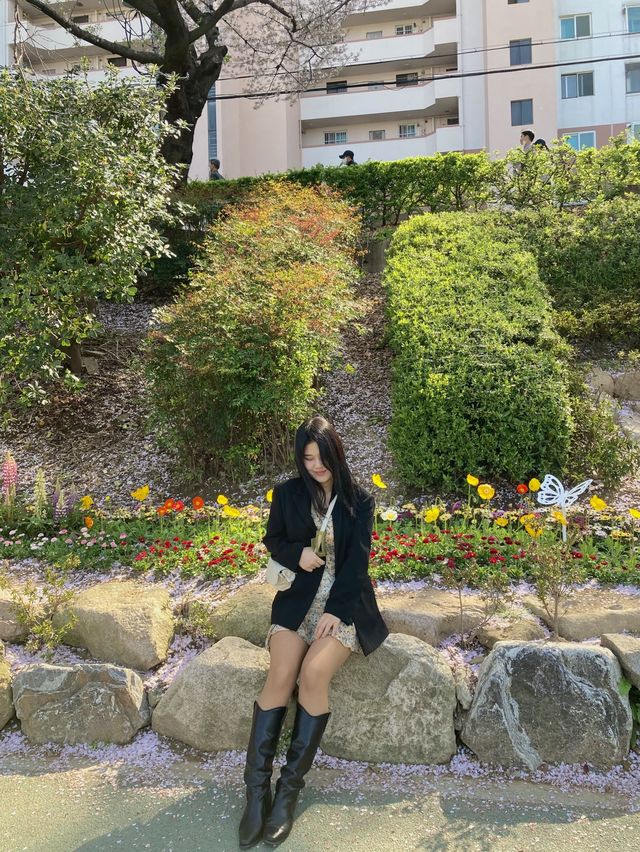 꽃이 가득한 부산 온천천