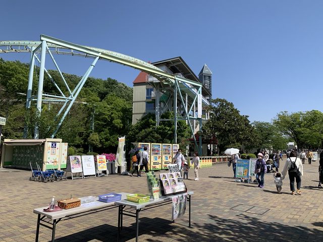 名古屋　名古屋観光　名古屋東山動物園でイケメンゴリラのシャバーニ君に会ってきた！