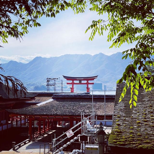 世界文化遺産 厳島神社〜広島•宮島