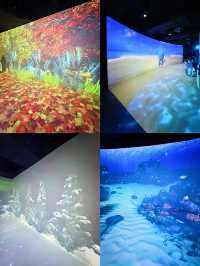⭐️全港首個大自然主題光影互動展館🌳仲有多個展館比你玩足一日🥳