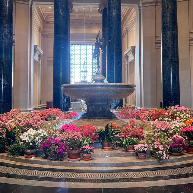 A masterpiece showcase in Washington DC! 🎨
