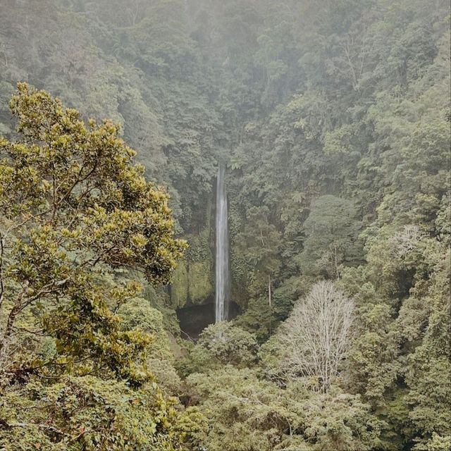 Wanagiri Puncak Manik Waterfall, Bali