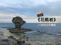 頭上長草的岩石🌿琉球海上《花瓶岩》🪨