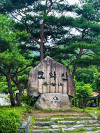 장마철 등산으로 리플레쉬하기🌿 모악산 등반⛰️