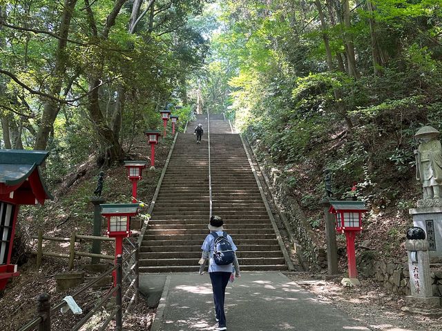 東京近郊隱世景點解鎖！高尾山～