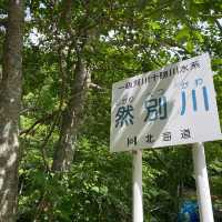 神秘魅力！北海道鹿追町然別湖中的「湖中鐵軌」夏日探秘 