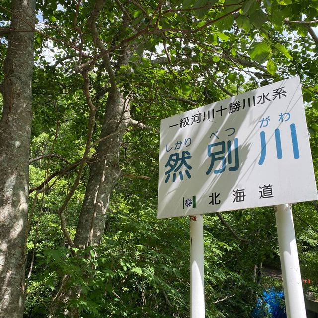神秘魅力！北海道鹿追町然別湖中的「湖中鐵軌」夏日探秘 
