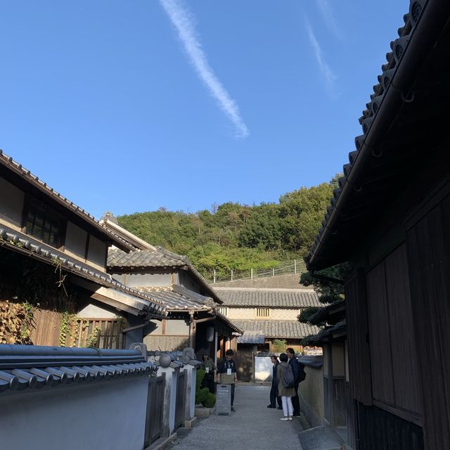 本島 ｜🚴🏻‍♀️單車遊覽探索古老市町