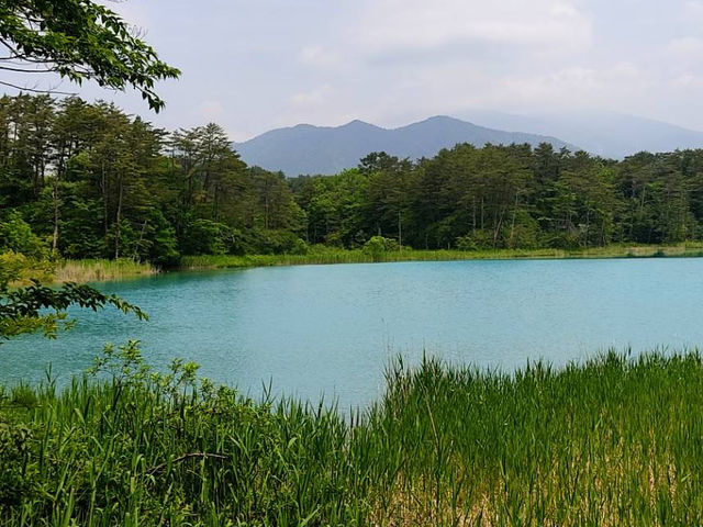 Goshiki-numa pond 🇯🇵💦🦋