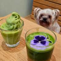 ⭐星街小區慈善寵物市集🐶🐱