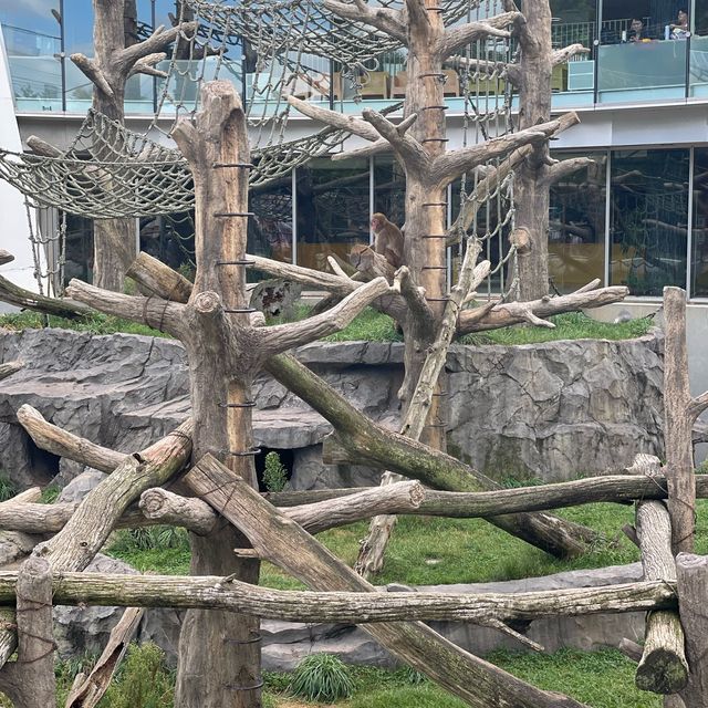 円山動物園