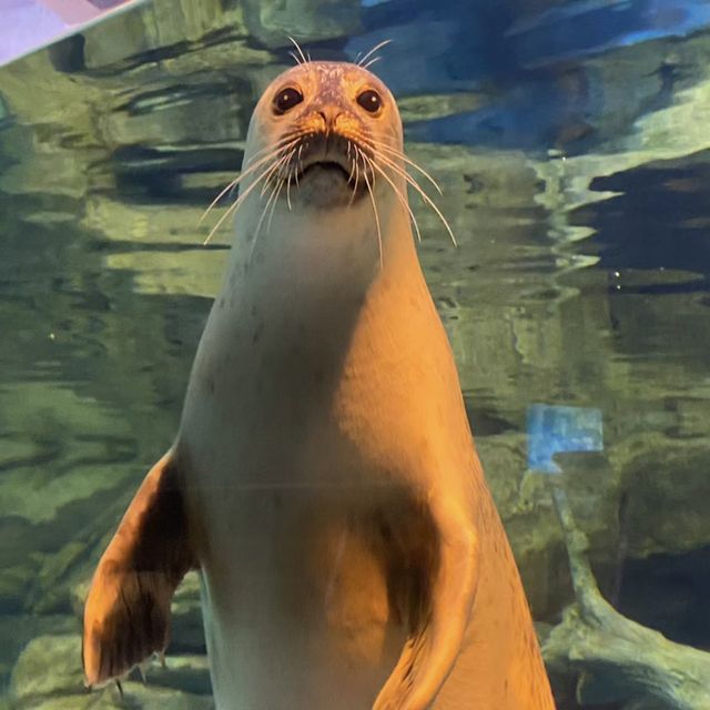 🌊🐠 台灣海洋生物博物館─海洋奇觀樂園 🌊🐠