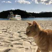 【沖縄】石垣島の絶景スポット「川平湾」