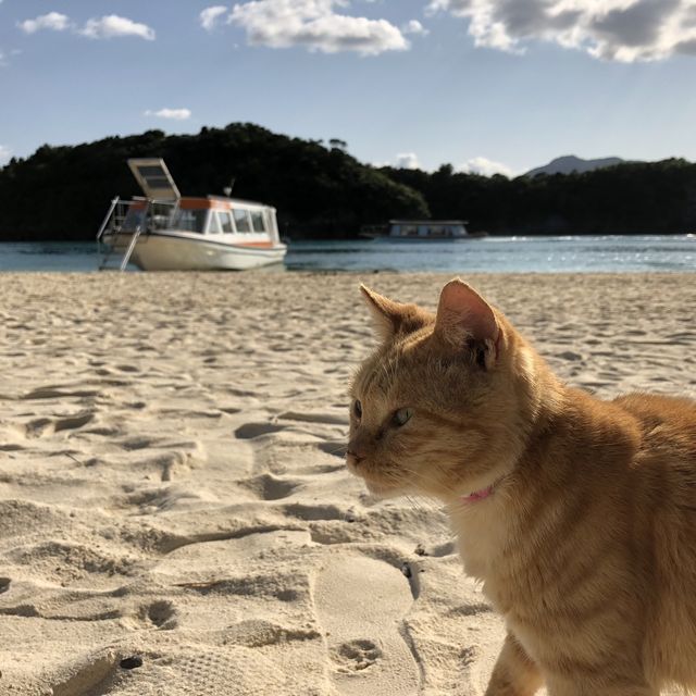 【沖縄】石垣島の絶景スポット「川平湾」