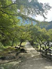 《愛知旅行》 おすすめ観光スポット🚩香嵐渓!
