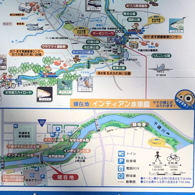 絶景！！🐟鮭の遡上🐟北海道ちとせ川