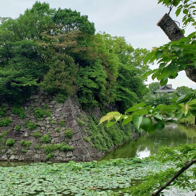 🏯 헤이안시대와 에도시대의 역사가 느껴지는 세월의 흔적, 고리야마 성을 방문해보세요 🌞