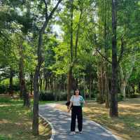 도심 속 자연을 즐기기 좋은 양재 시민의 숲 🌳