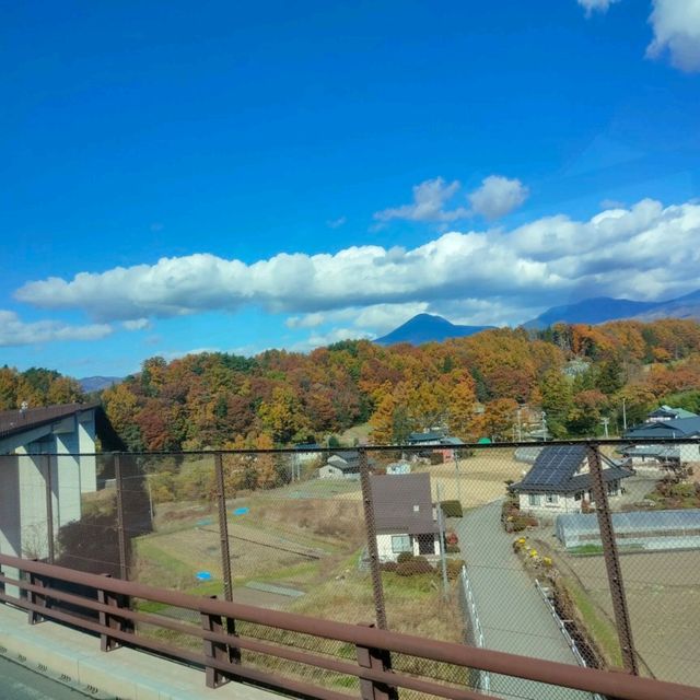 Nagano Autumn Trip last year 