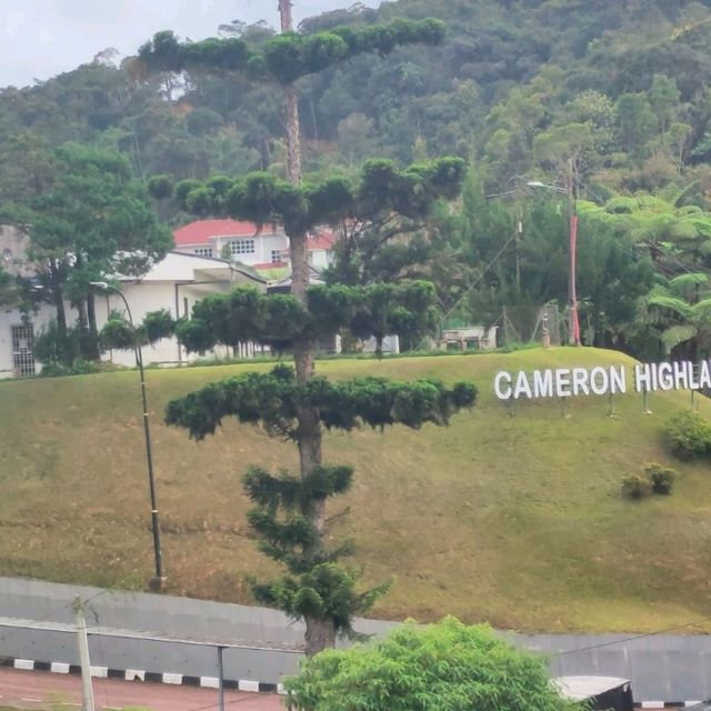 An Evening At Cameron Highlands