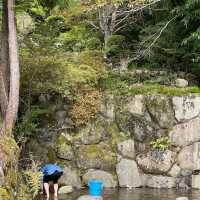 兵庫・丹波　あまごつかみ取りからのあまご尽くし