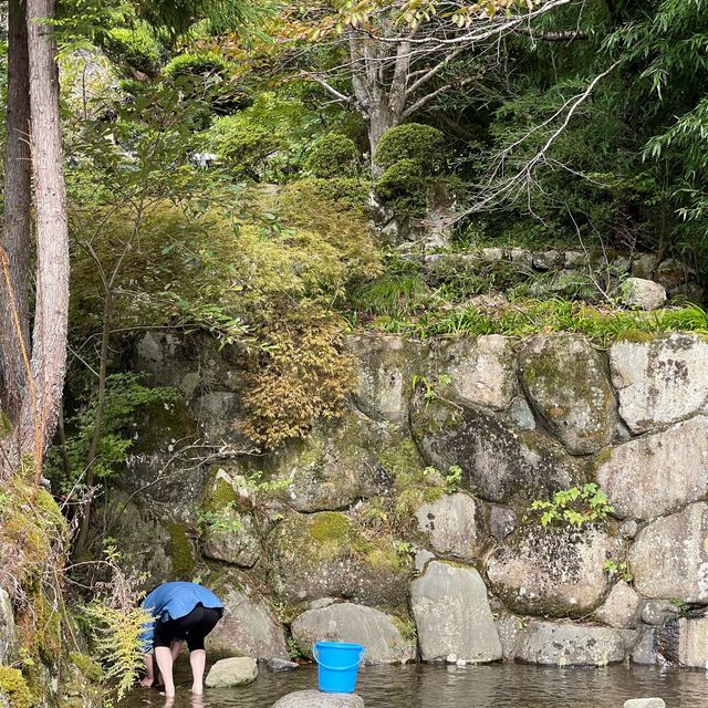 兵庫・丹波　あまごつかみ取りからのあまご尽くし