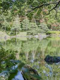 【福井県/福井市】まるで江戸時代にタイムスリップ⁉︎紅葉狩りスポット