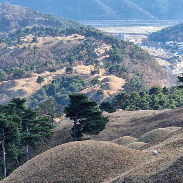 세계문화유산으로 등재된 대가야 고분군 보러가자.