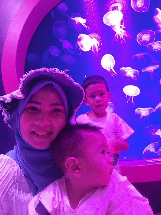 Legoland sea life