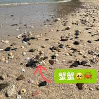 香港🇭🇰東平洲攻略