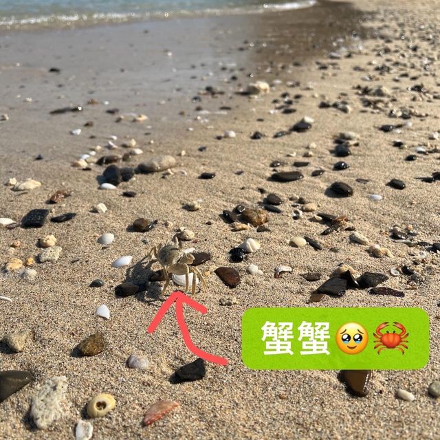 香港🇭🇰東平洲攻略