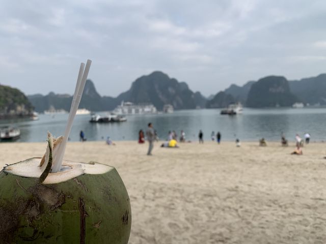 越南🇻🇳下龍灣 Emotion Cruise 