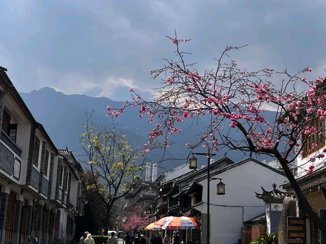 背靠蒼山，面朝洱海——大理的浪漫