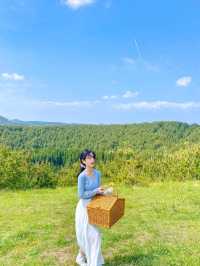제주 동화 속 그 잡채 피크닉스팟🧺🌿