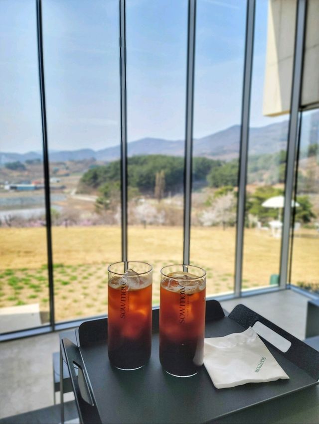 3월초 오픈한 역대급 통창뷰 청도 신상카페🌳☕️