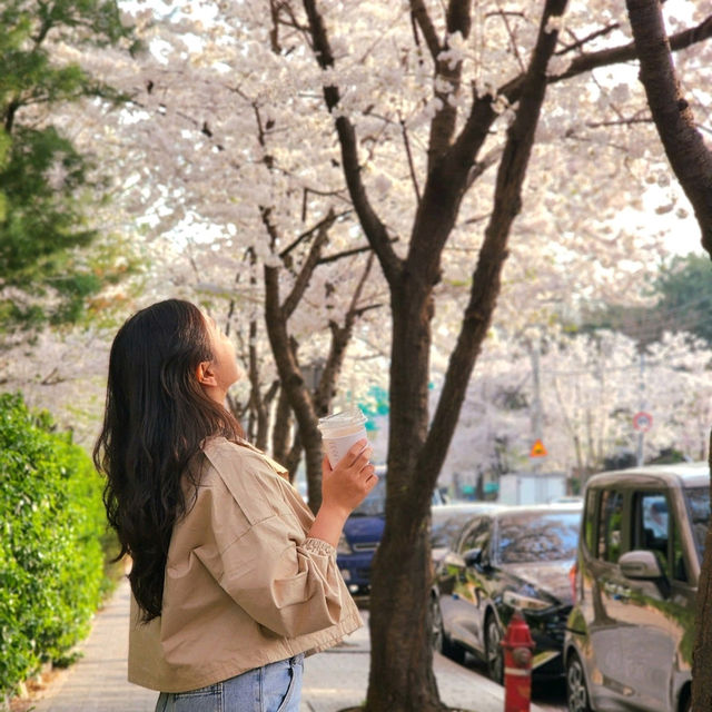 천호~암사 벚꽃길🌸이 이쁜 천호 자전거거리🚲
