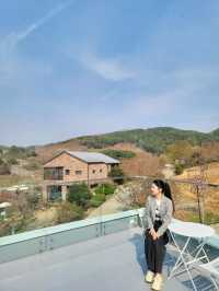 식물복합공간 청도 신상카페 소우모우🌳
