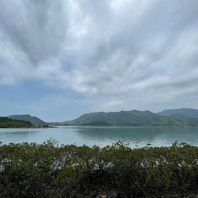 遊山玩水系列‼️‼️‼️粉嶺鹿頸遠望對岸👍🏻容易郊遊路線