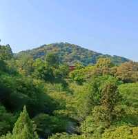 Iconic Kiyomizu-dera Temple in Kyoto 
