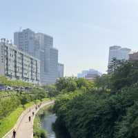 เดินเล่นริมคลอง Cheonggyecheon เกาหลีใต้